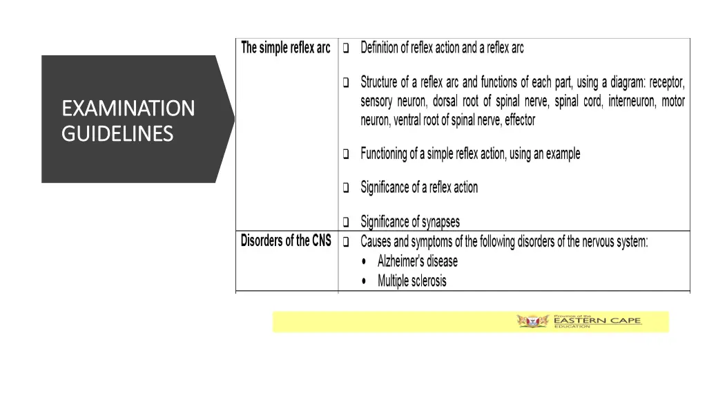 examination examination guidelines guidelines