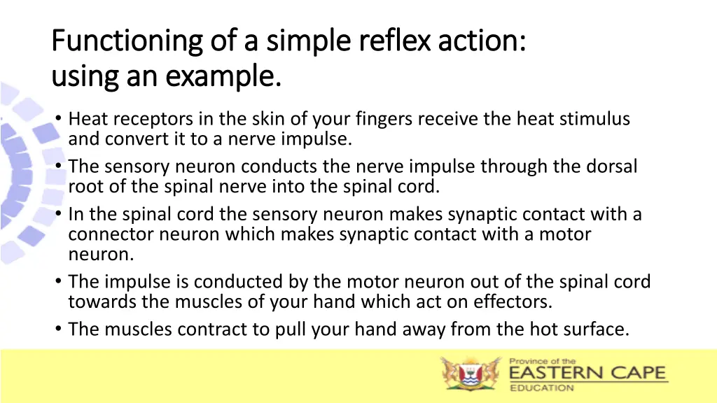 functioning of a simple reflex action functioning