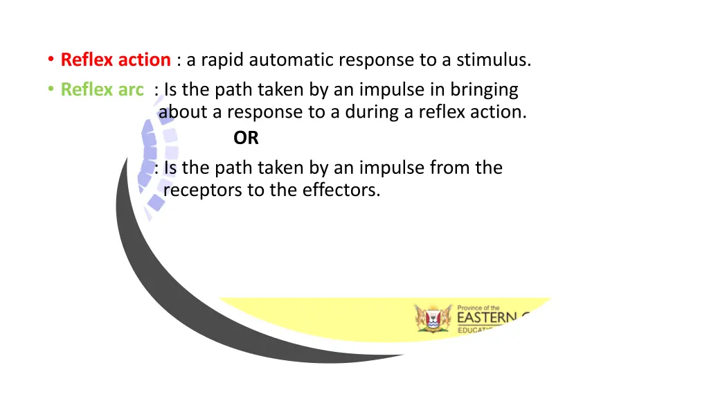 reflex action a rapid automatic response