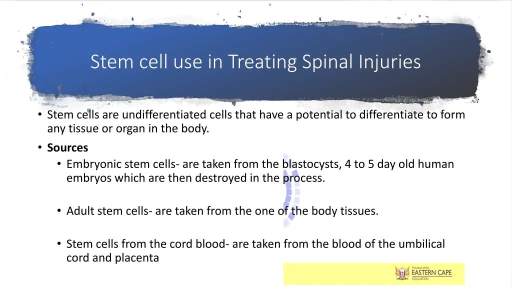 stem cell use in treating spinal injuries