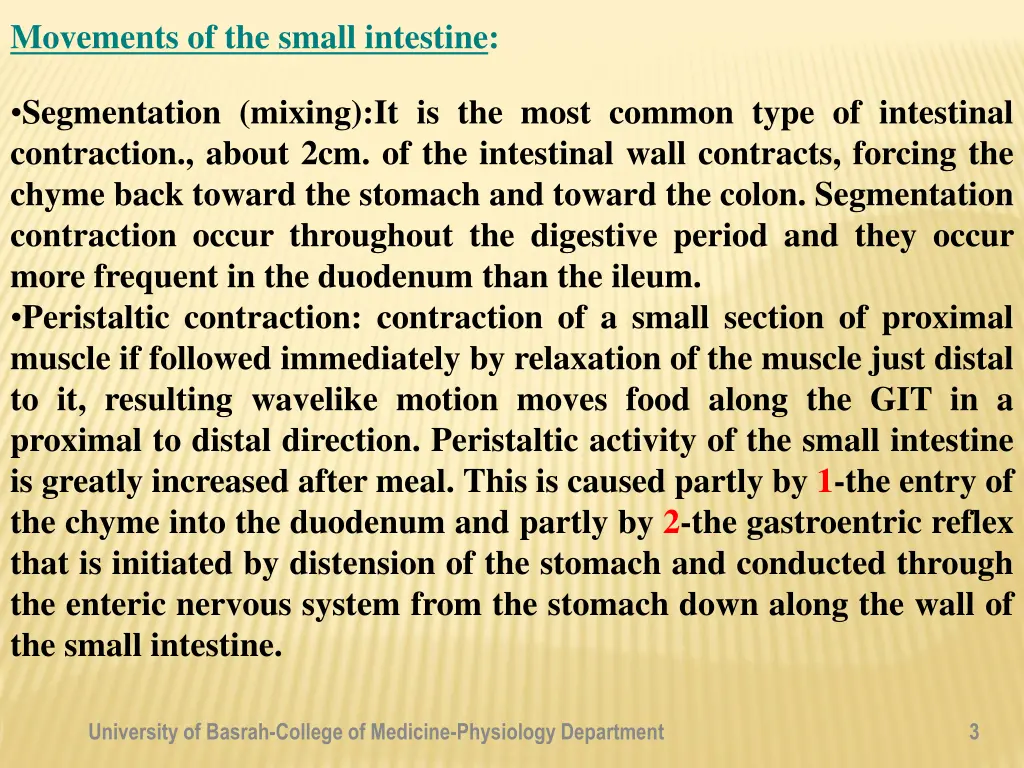 movements of the small intestine