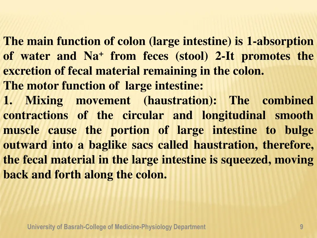 the main function of colon large intestine