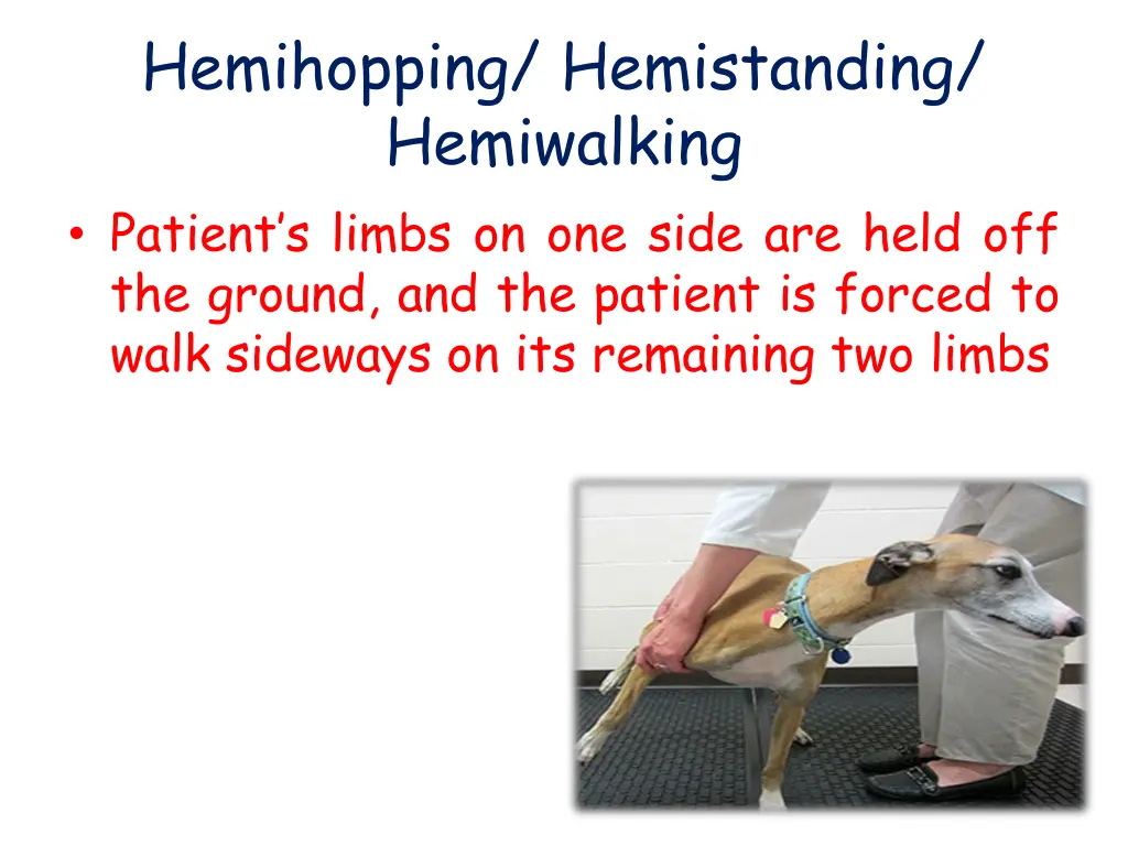 hemihopping hemistanding hemiwalking patient