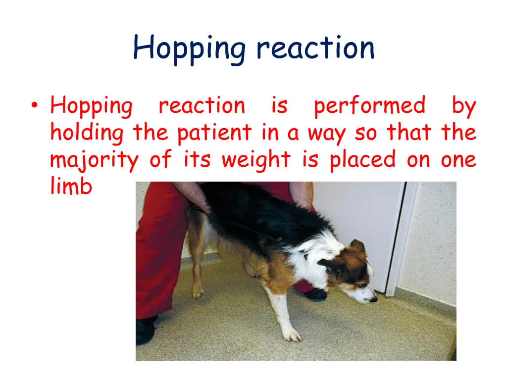 hopping reaction