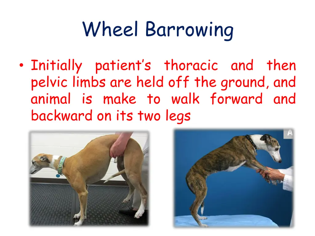 wheel barrowing