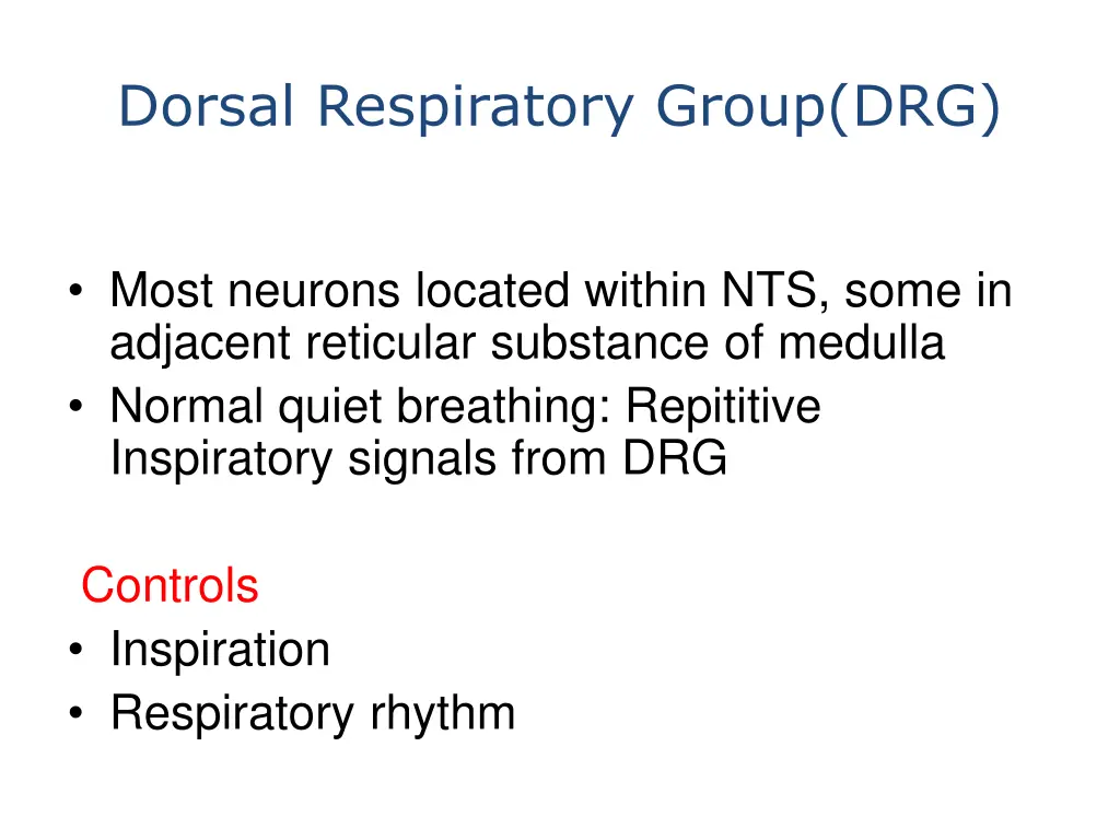 dorsal respiratory group drg