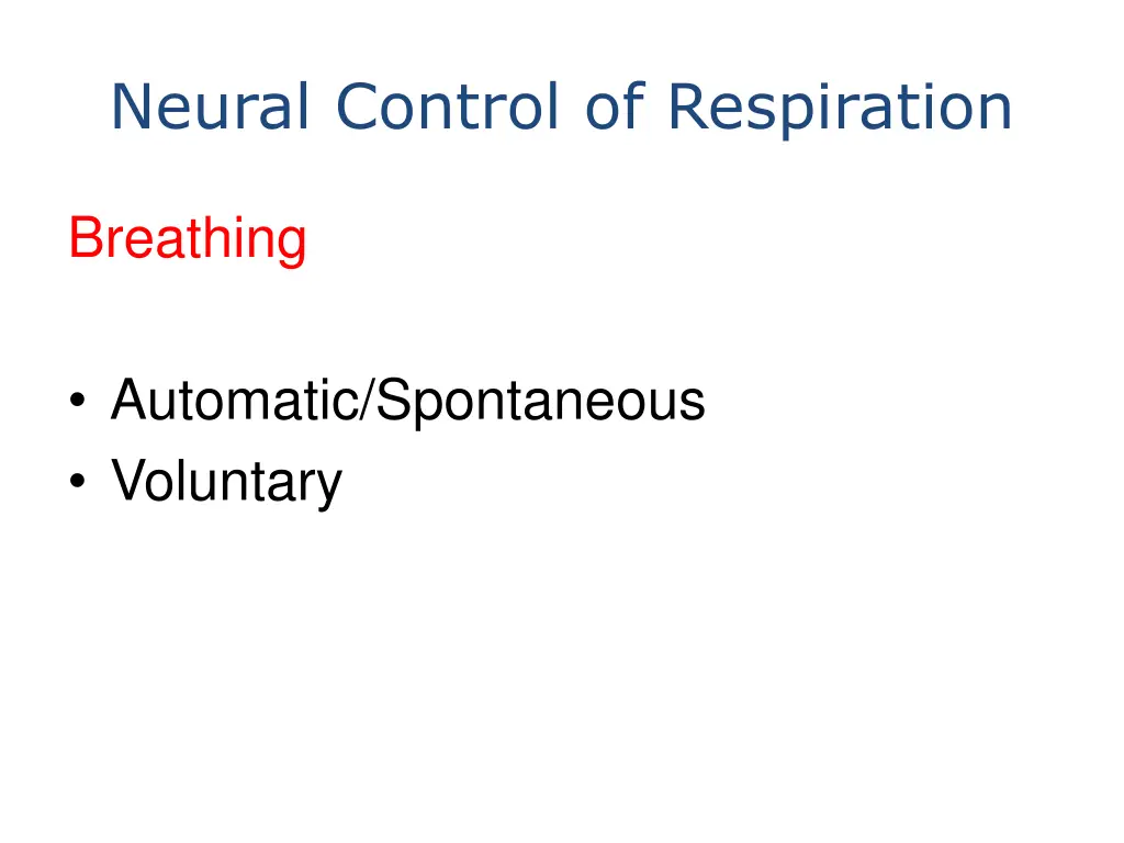 neural control of respiration