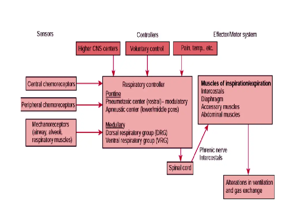 slide21