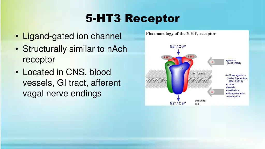 5 ht3 receptor