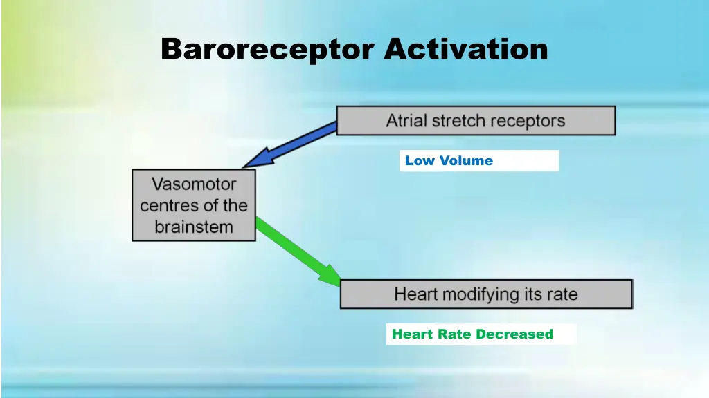 baroreceptor activation