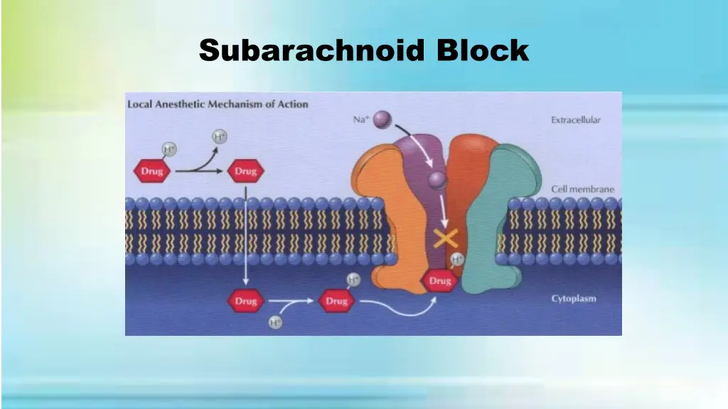 subarachnoid block