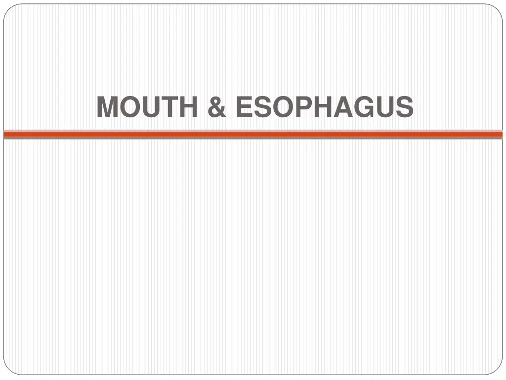 mouth esophagus