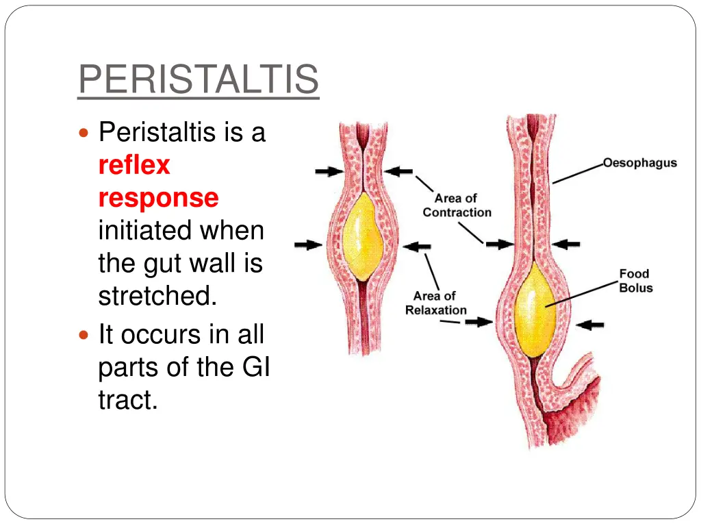 peristaltis