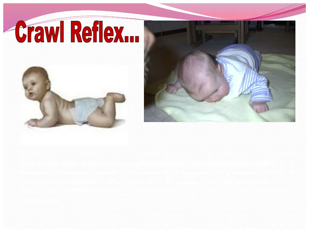 crawl reflex