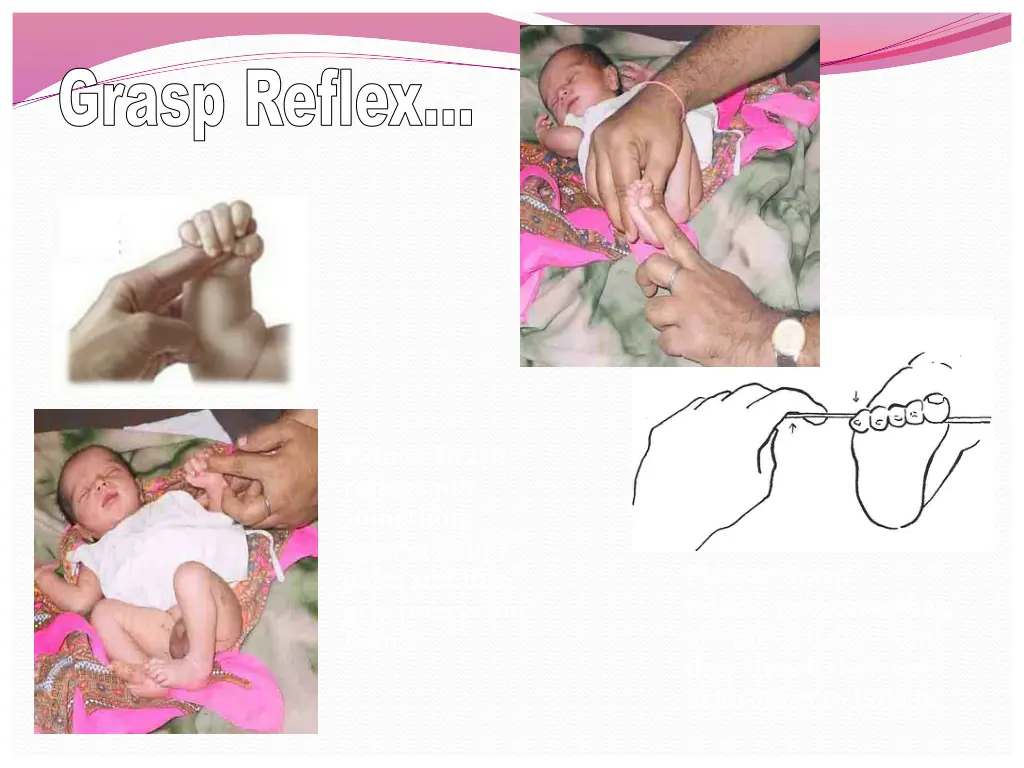 grasp reflex