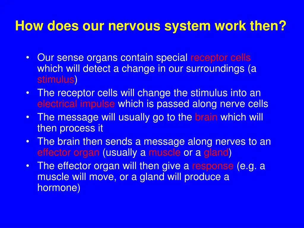 how does our nervous system work then