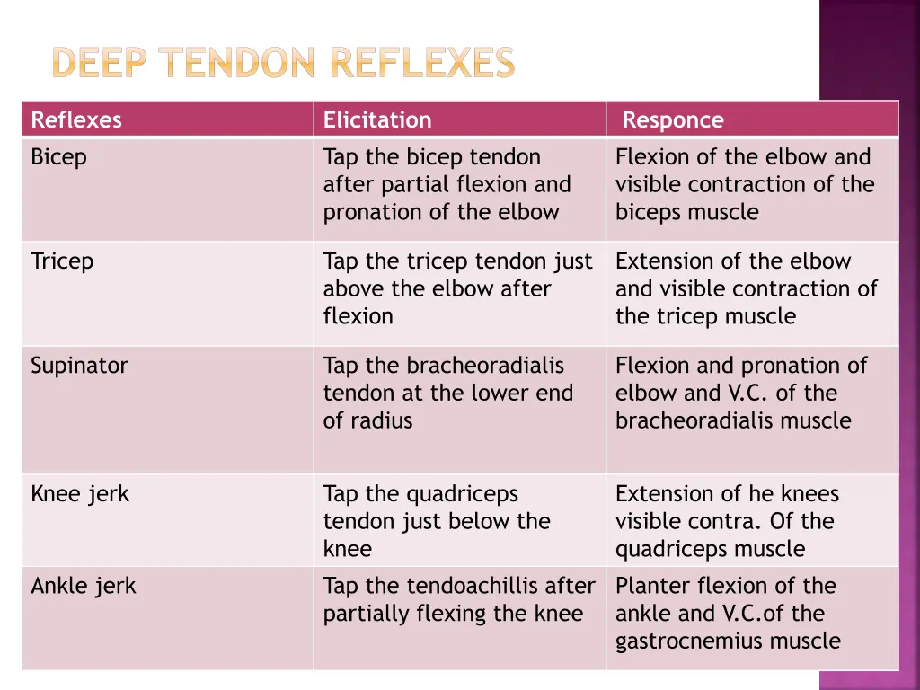 deep tendon reflexes