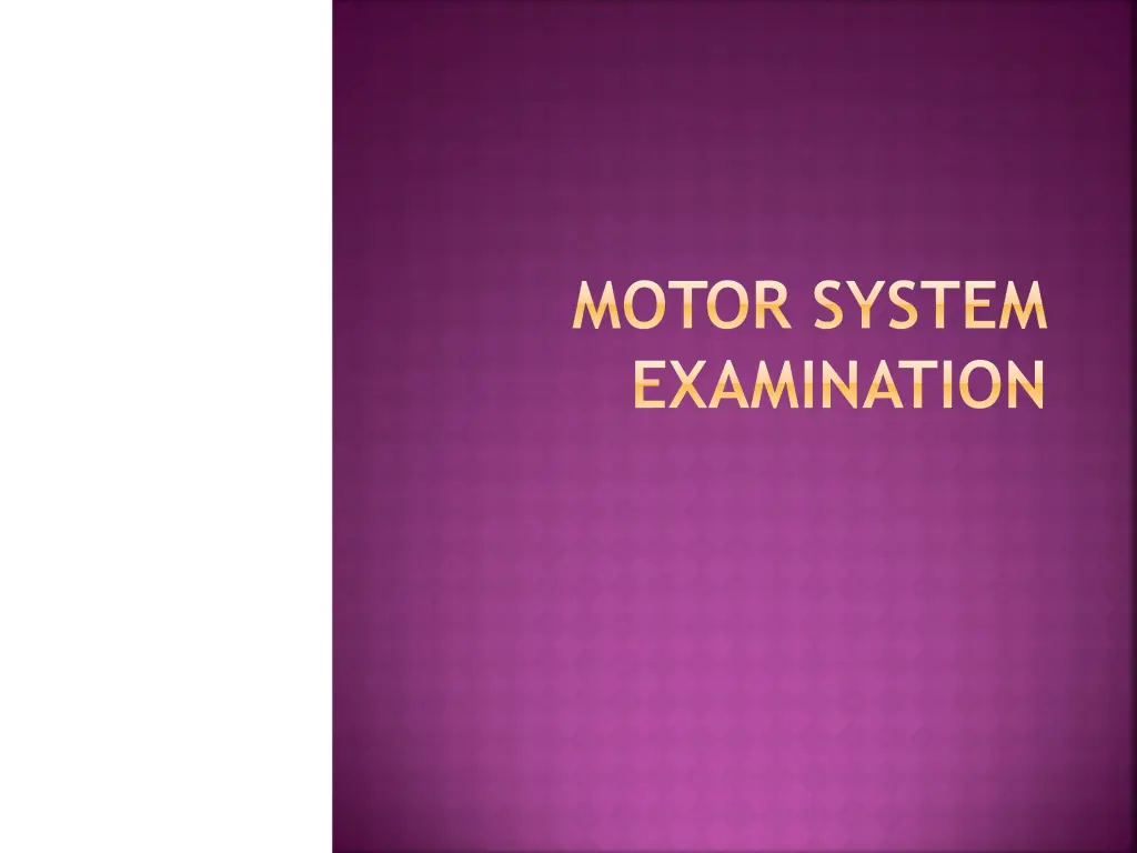 motor system examination