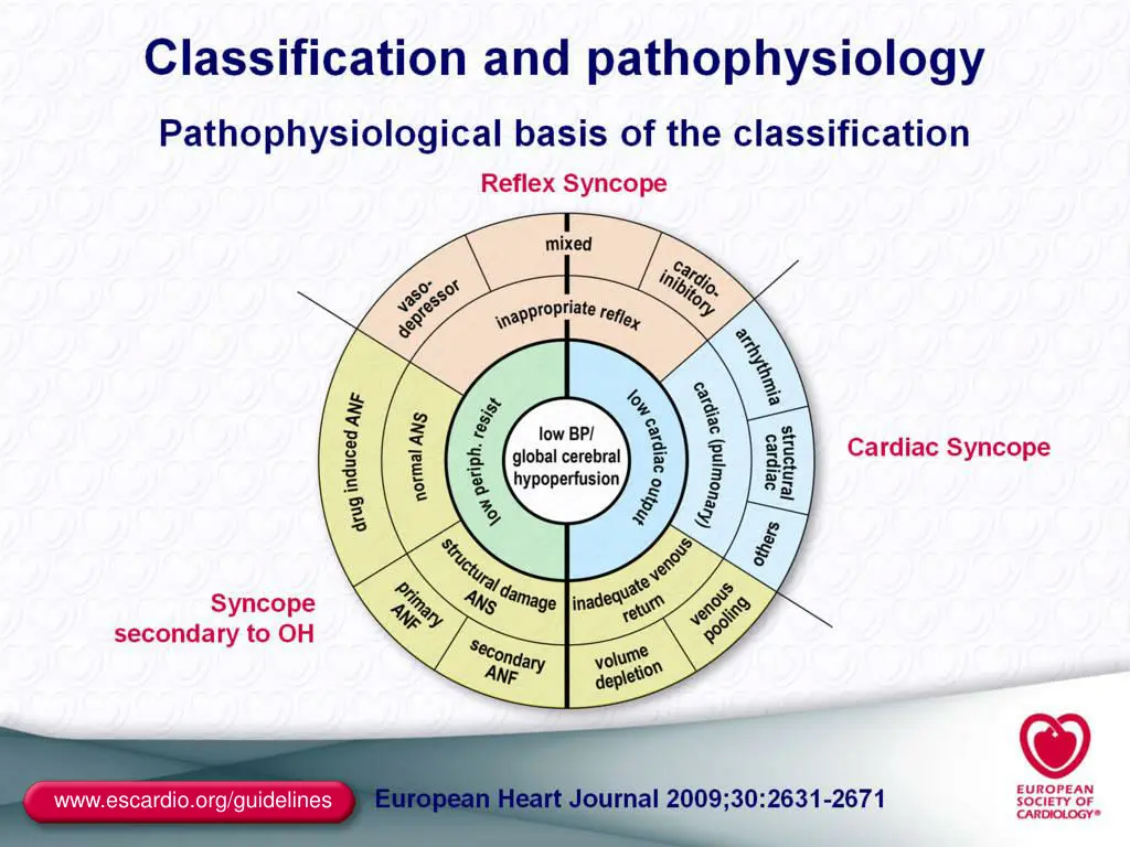 www escardio org guidelines 1