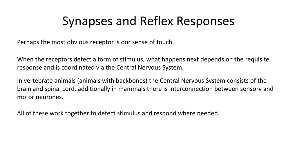 synapses and reflex responses 1