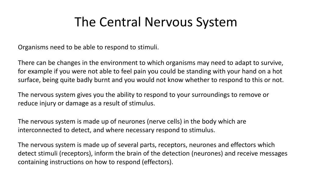 the central nervous system 1