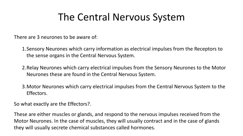 the central nervous system 3