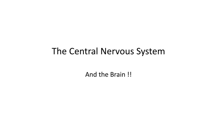 the central nervous system