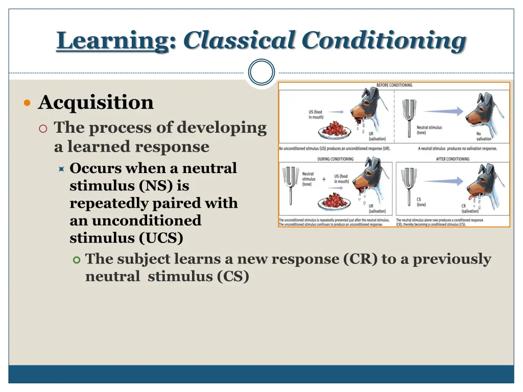 learning classical conditioning 6