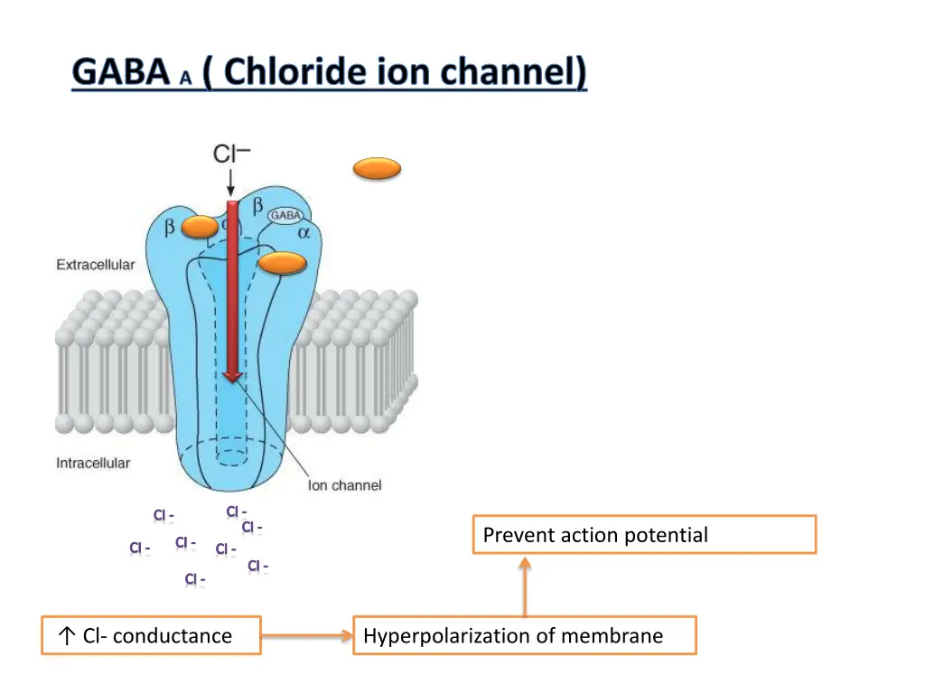 gaba a chloride ion channel