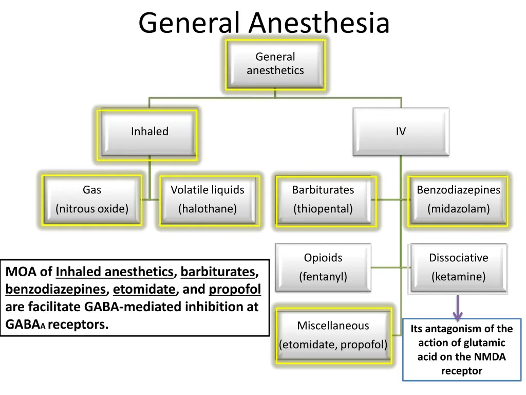 general anesthesia