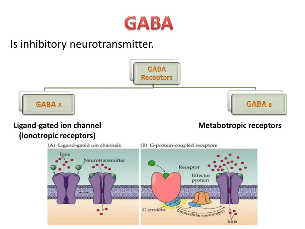 is inhibitory neurotransmitter