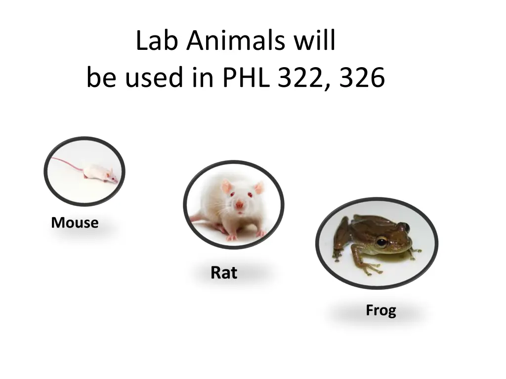 lab animals will be used in phl 322 326