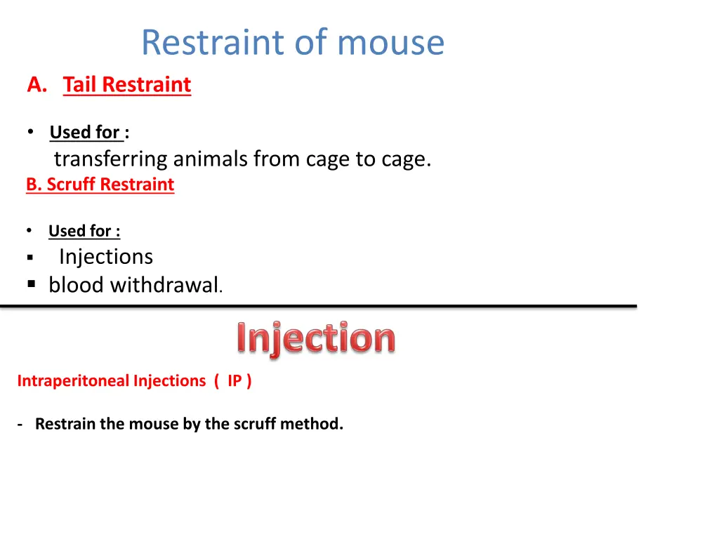 restraint of mouse a tail restraint