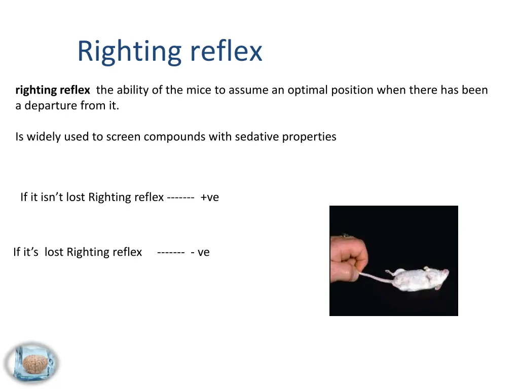 righting reflex