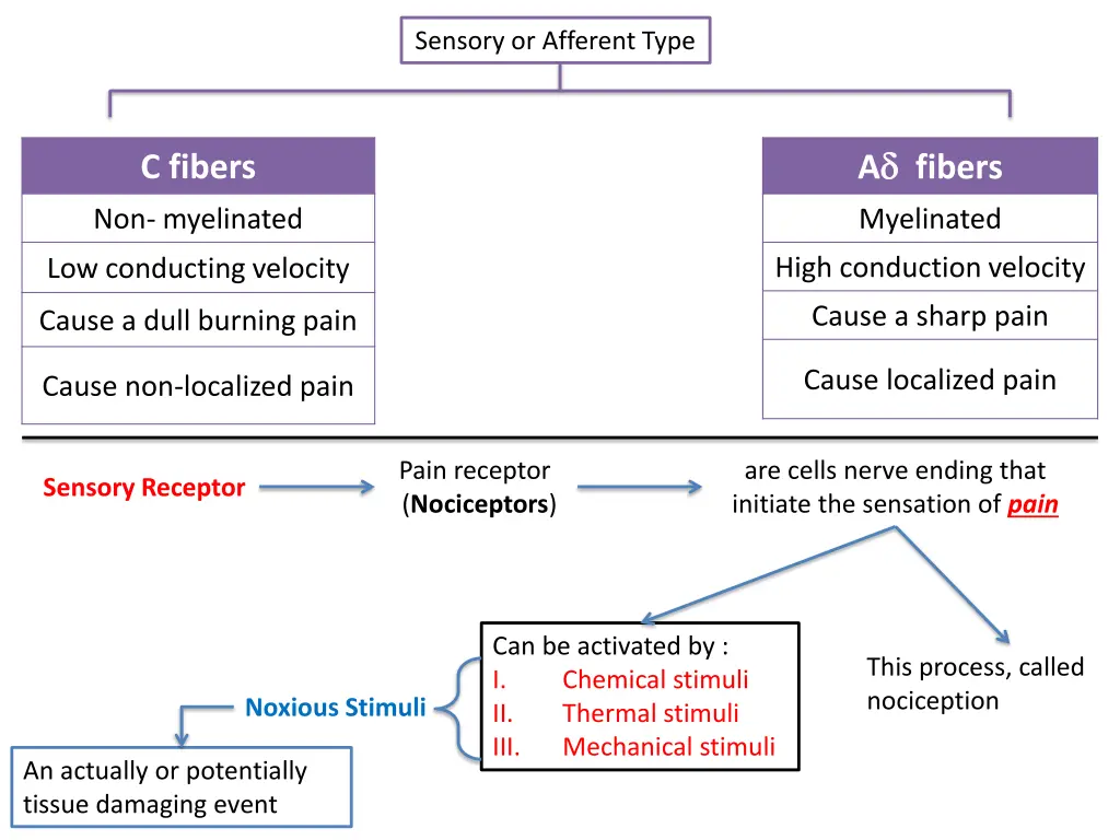 sensory or afferent type