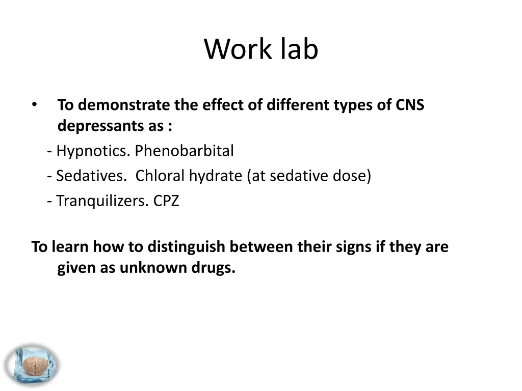 work lab