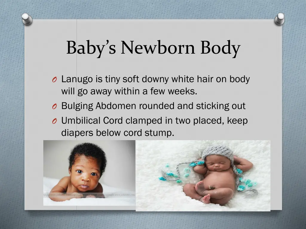 baby s newborn body