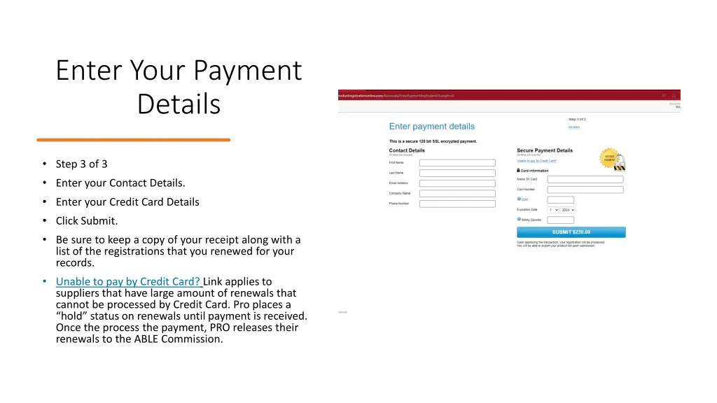 enter your payment details