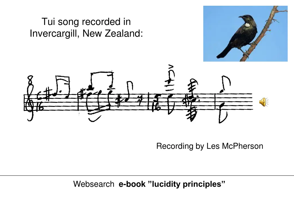 tui song recorded in invercargill new zealand