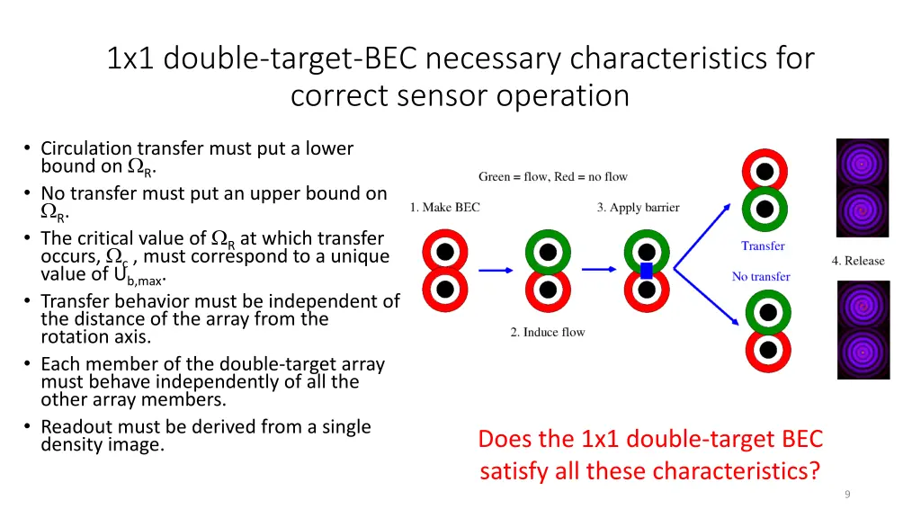 1x1 double target bec necessary characteristics