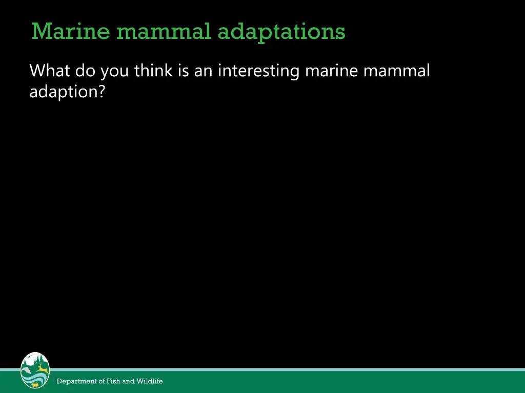 marine mammal adaptations 1