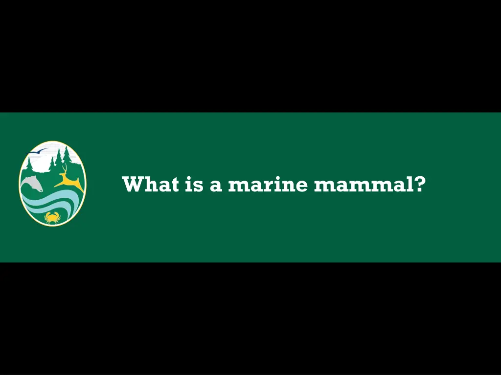 what is a marine mammal