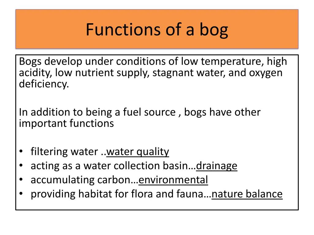 functions of a bog