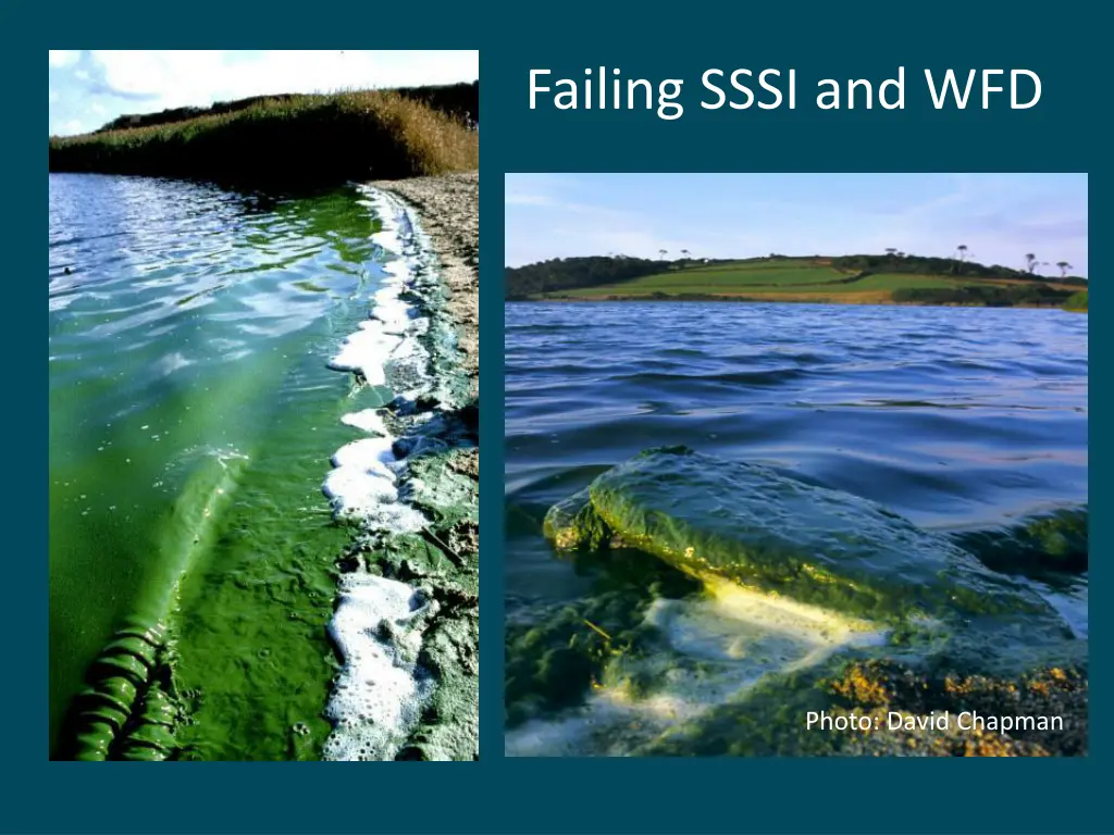 failing sssi and wfd