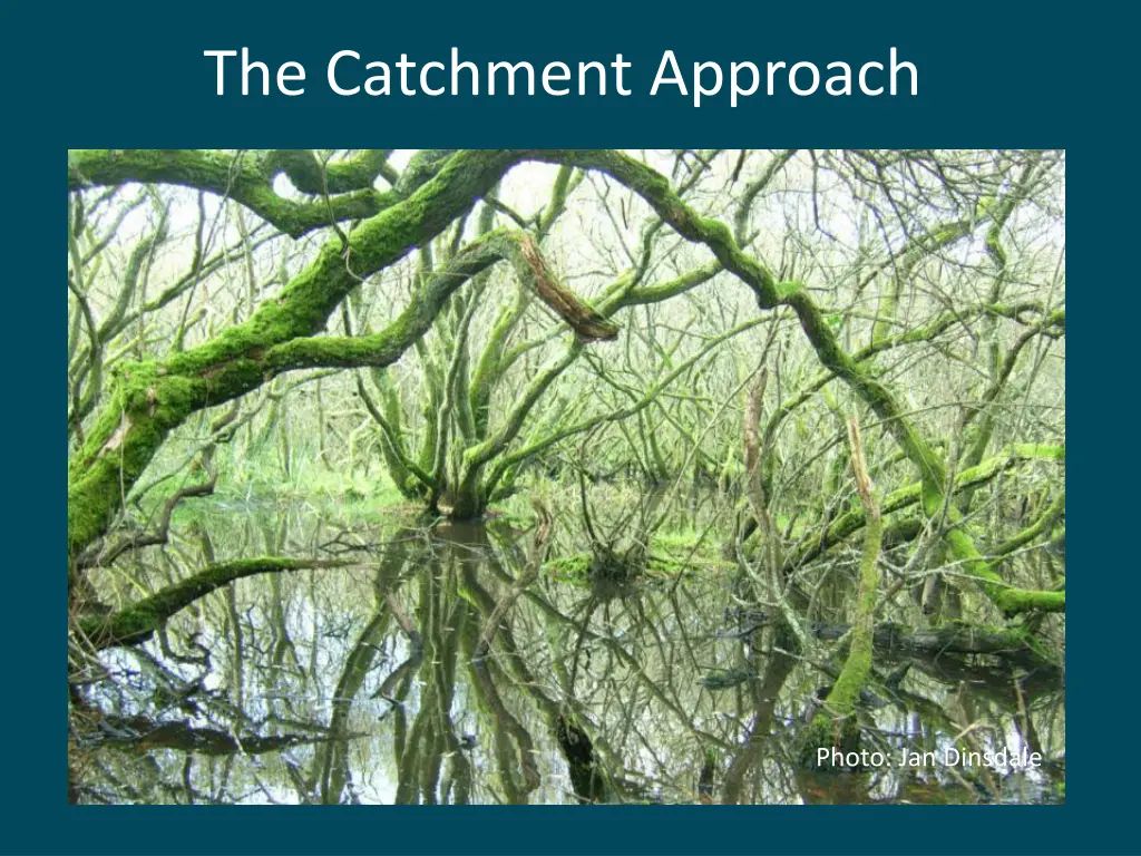 the catchment approach