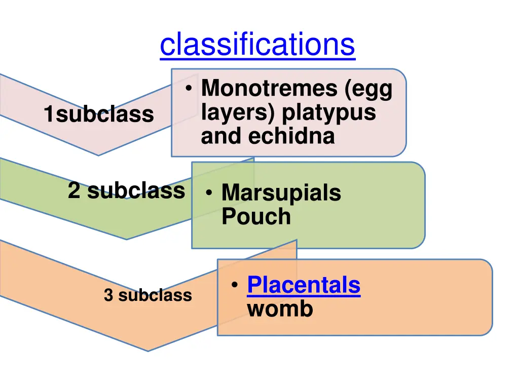 classifications