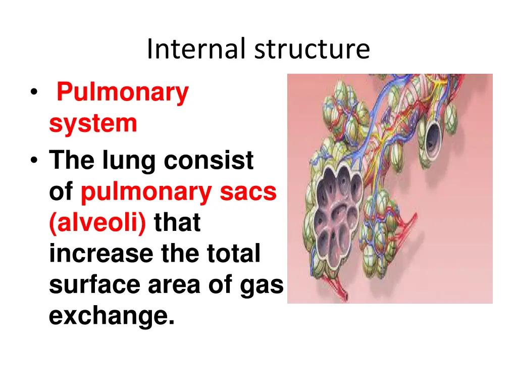 internal structure