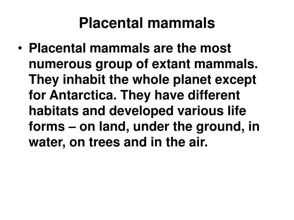 placental mammals