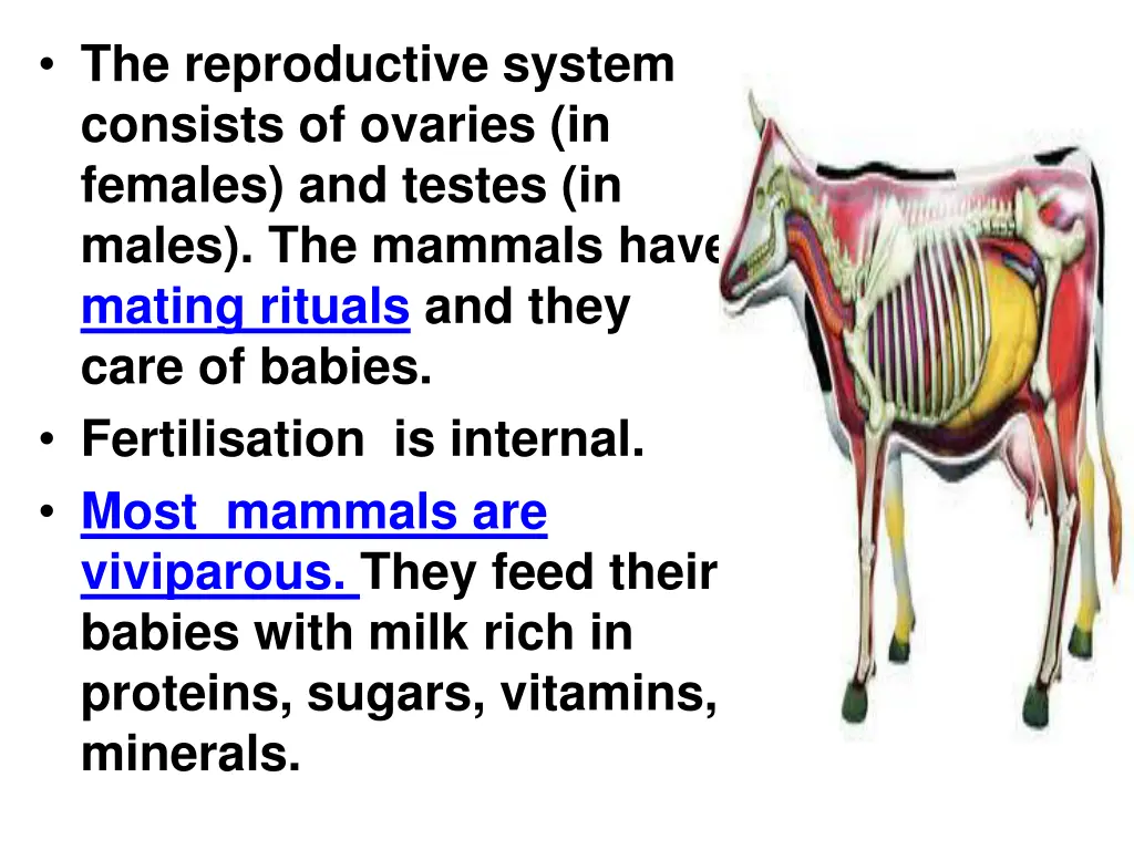 the reproductive system consists of ovaries