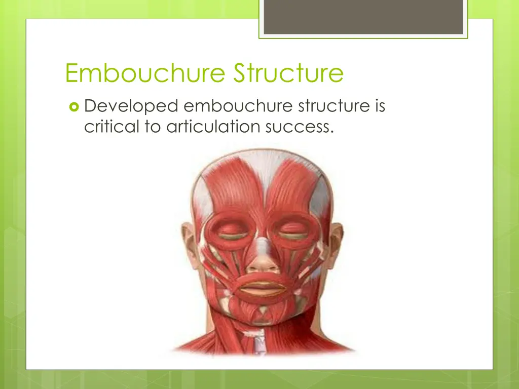 embouchure structure